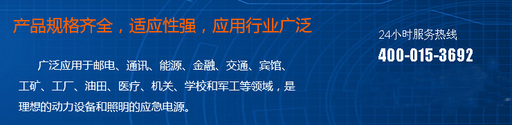 成都柴油發(fā)電機(jī)組租賃